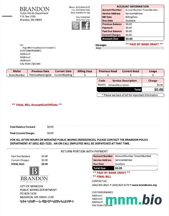 USA Brandon Missisipi rachunek za media słowo i szablon PDF